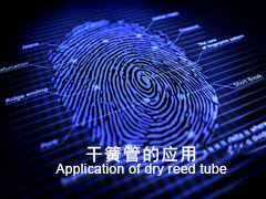 Dry reed pipe